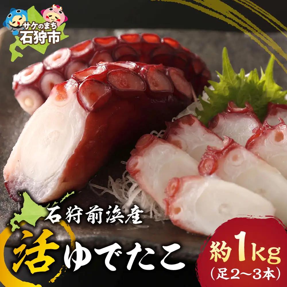 石狩前浜産 活ゆでたこ 約1kg（足2～3本）｜海鮮 たこ タコ 石狩前浜産 北海道 石狩市
