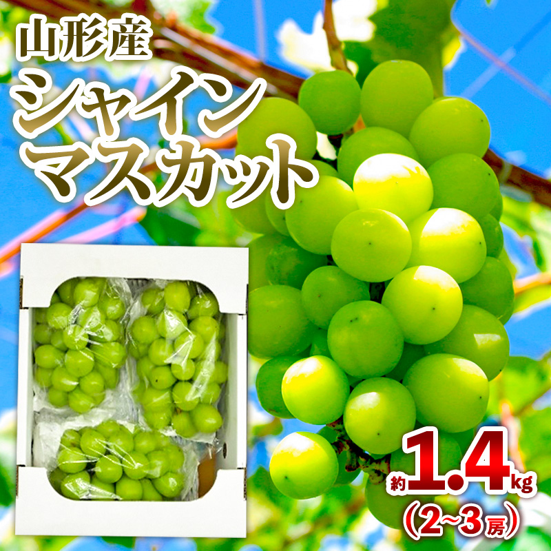 山形産 シャインマスカット 約1.4kg (2～3房) 秀品 【令和8年産先行予約】FS25-605