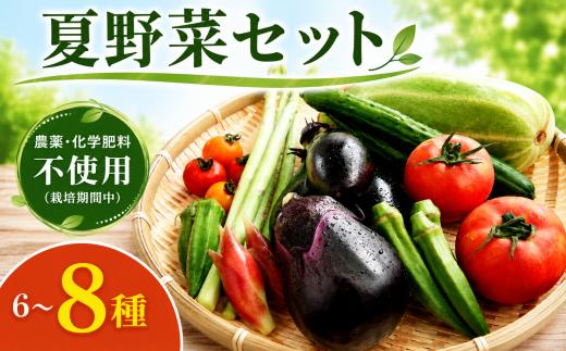 【先行予約】 訳あり 野菜セット 夏 6 ～ 8 種類 7月上旬以降発送 おまかせ 詰め合わせ セット 夏野菜 野菜 セット ミニトマト なす オクラ きゅうり ピーマン ししとう パプリカ 大甘とうがらし 冷蔵配送 旬 新鮮 野菜 やさい サラダ パスタ お弁当 ジューシー 送料無料 産地直送 千葉県 旭市 珠樹自然農園 tsn001