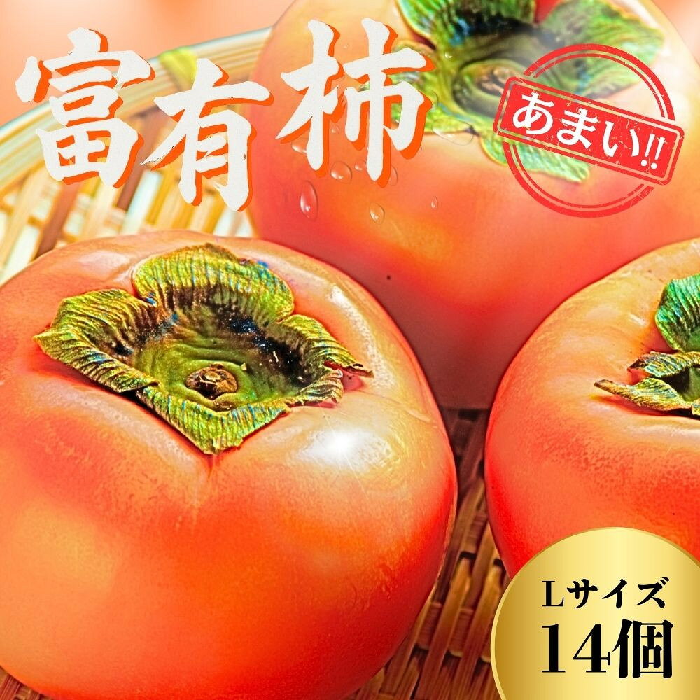 【ふるさと納税】【先行予約】Farm m&aの富有柿 L×14個 秀品 岐阜県 大野町（2026年11月下旬～発送）農家直送 果物 フルーツ 秋の味覚 柿 かき 富有 ふゆう | 柿 かき カキ 富有柿 岐阜の柿 甘柿 果物 大野町 特産品
