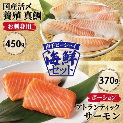 ふるさと納税 泉佐野市 サーモン・国産活〆 真鯛 お刺身セット nbj0004