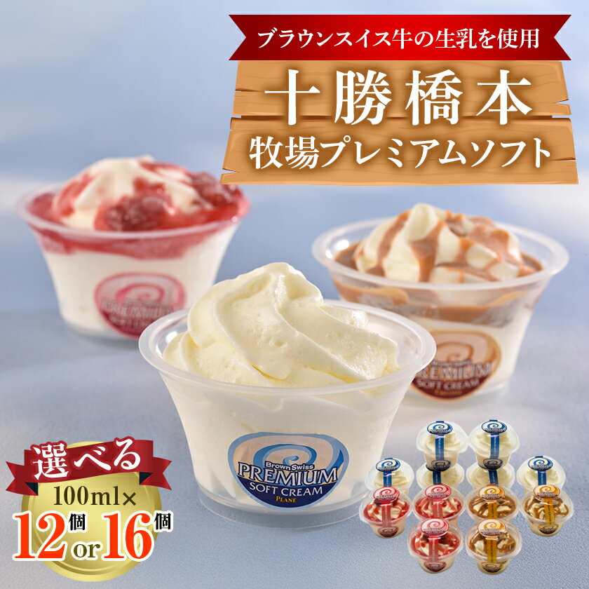 【ふるさと納税】十勝橋本牧場プレミアムソフト12個【配送不可地域：離島】【1473537】