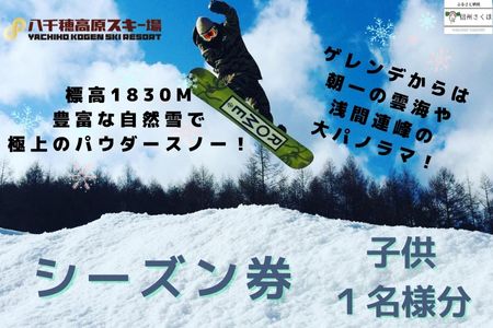 【2025-2026シーズン】八千穂高原スキー場　シーズン券　子供　１名様［AD-110-01］