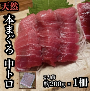 貴重な天然本鮪 中トロ 約200g 1柵　約2人前●くどくない上質な脂が美味しい！【とろ マグロ 惣菜 海鮮 お取り寄せ 御中元 お中元 お歳暮 父の日 母の日 贈り物 日本酒 焼酎 マグロ マグロ マグロ マグロ マグロ】【神奈川県小田原市早川】