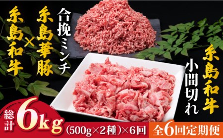【全6回定期便】糸島和牛 小間切れ 500g ＆ 糸島和牛 糸島豚 合挽ミンチ 500g 合計1kg 糸島市/糸島ミートデリ工房[ACA238]