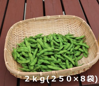 採れたて新鮮！！　高山村の枝豆　２ｋｇ