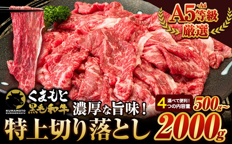 
                  A4～A5等級 黒毛和牛 切り落とし くまもと黒毛和牛 特上 ウデ・モモ 500g 1000g 1500g 2000g 牛肉 冷凍 《30日以内に出荷予定(土日祝除く)》冷凍庫 個別 取分け 小分け 個包装 モモ スライス 肉 お肉 しゃぶしゃぶ すき焼き
                