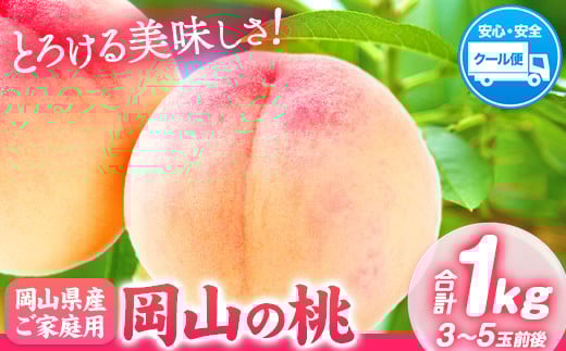 
            桃 【2025年先行予約】 岡山の桃 約1kg (3～5玉)《2025年6月下旬-9月上旬頃出荷》岡山県 矢掛町
          