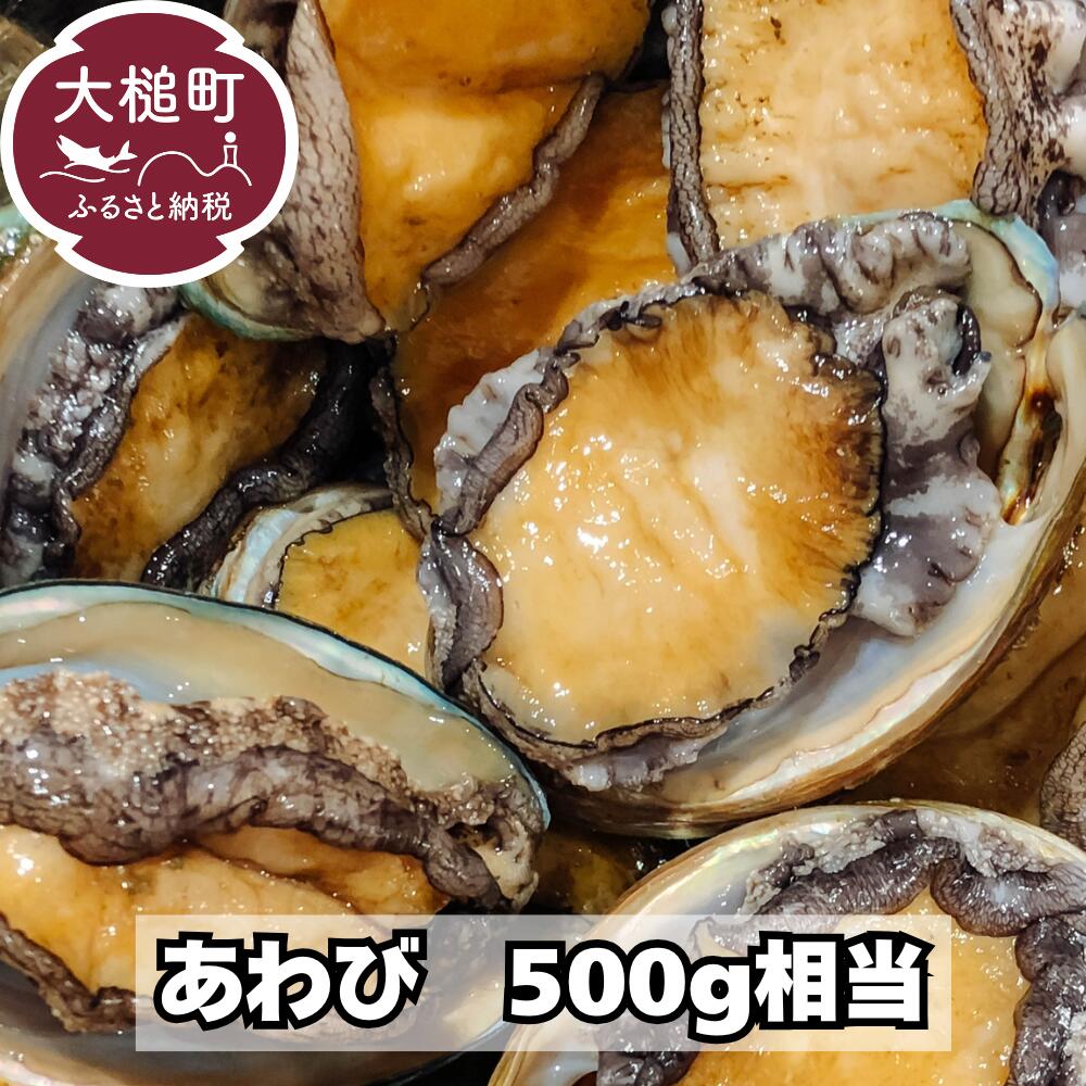 【ふるさと納税】 【2026年11月・12月期間限定発送】 アワビ 約500g （4個前後） 初栄丸 ※アワビヘラ＆軍手付き