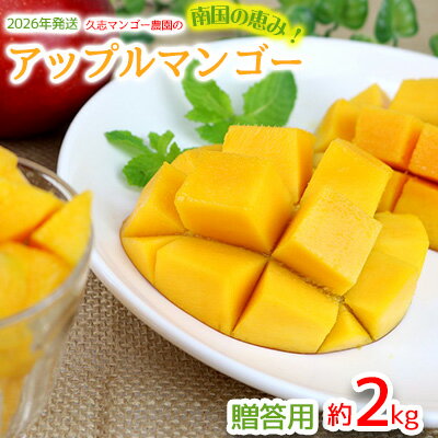 【ふるさと納税】【2026年発送】南国の恵み！久志マンゴー農園のアップルマンゴー贈答用（約2kg） アーウィン 果物 甘い 夏 濃厚 ギフト Mango ランキング 完熟 お気に入り 美味しい 人気 甘味 フルーツ 沖縄県 先行予約 食品 デザート 産地直送 送料無料