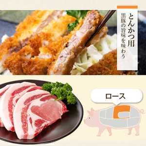 【B02091】特選黒豚(計約1.6kg)  黒豚焼豚(約200g×2個) 黒豚餃子(12個入×1P) 鹿児島 国産 九州産 黒豚 豚肉 お肉 バラ肉 ロース トンカツ 焼豚 叉焼 チャーシュー 餃子