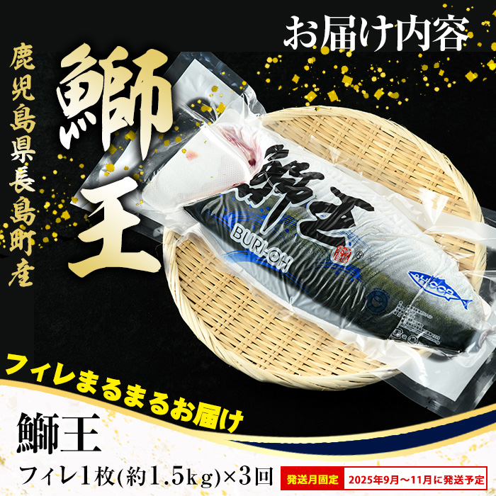 ＜定期便・毎月 全3回＞ 鰤王フィレ 定期便 長島町特産「鰤王」フィレ 約1.5kg×1枚 国産 鹿児島県産 鰤 ブリ ぶり 鰤 ぶりおう 冷蔵 海鮮 海産物 魚介 背身 腹身 ブランド 魚 真空パッ