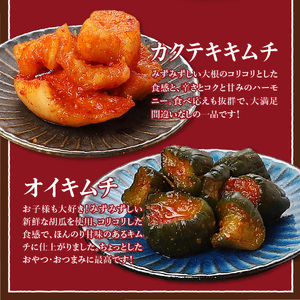 キムチ バラエティーセット (お試し キムチ セット 定番人気3種類)  キムチ 白菜 カクテキ オイキムチ 150g 山梨 富士吉田