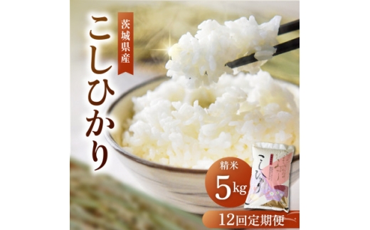 ＜毎月定期便＞茨城県産 コシヒカリ 精米5kg | こしひかり 茨城県かすみがうら市全12回【4094323】