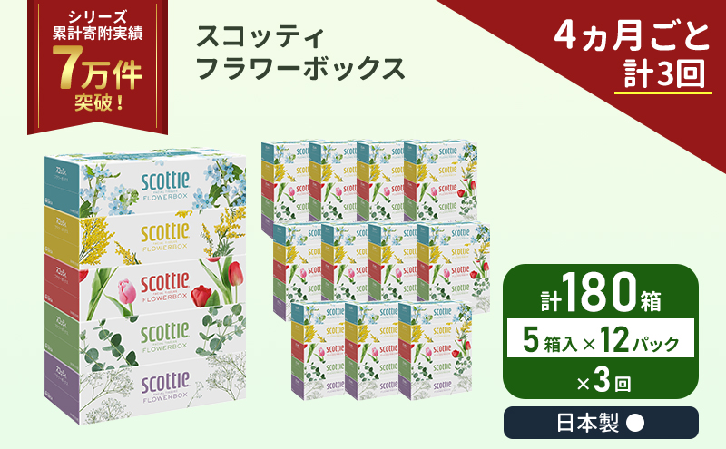スコッティ フラワーボックス 180箱 (5箱×12パック)《4ヶ月ごと計3回》 定期便 ティッシュ ティッシュペーパー