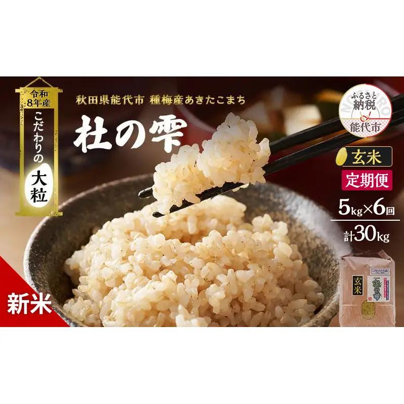新米 先行予約 令和8年産[玄米]【定期便6ヶ月】秋田県産 あきたこまち 5kg×6回 計30kg「杜の雫」こだわりの大粒 種梅産【 お米 おこめ たねうめ 精米 ご飯 ごはん ブランド米 大粒 おにぎり 産地直送 能代 】