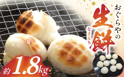
                  おぐらやの 生餅 1.8kg【モチ 餅 もち お餅 おもち 小餅 こもち 正月餅 お正月餅 無添加 つきたて 生餅 ヒヨク餅 お歳暮 餅まき 焼き餅 きな粉餅 お雑煮 年末 年始】_B6008
                