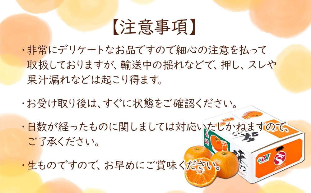 【糖度12度以上！】長崎県産 みかん 味ロマン 約10kg ＜期間限定／先行予約＞【2026年11月中旬以降順次発送】