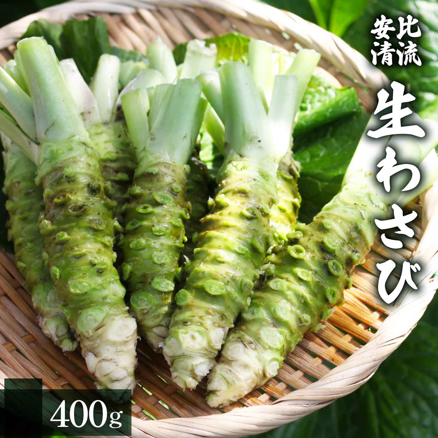 生わさび 400g 【安比清流山葵園】 ／ わさび 山葵 ワサビ 生山葵 生ワサビ 新鮮 薬味 産地直送 国産 岩手県産