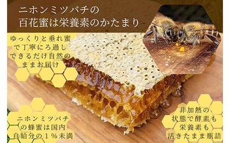 生 はちみつ 食べ比べ3点セット（プレーン/いちご/カカオ）ハチミツ