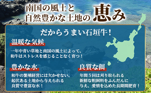 E-27 石垣牛ハンバーグ 6個セット