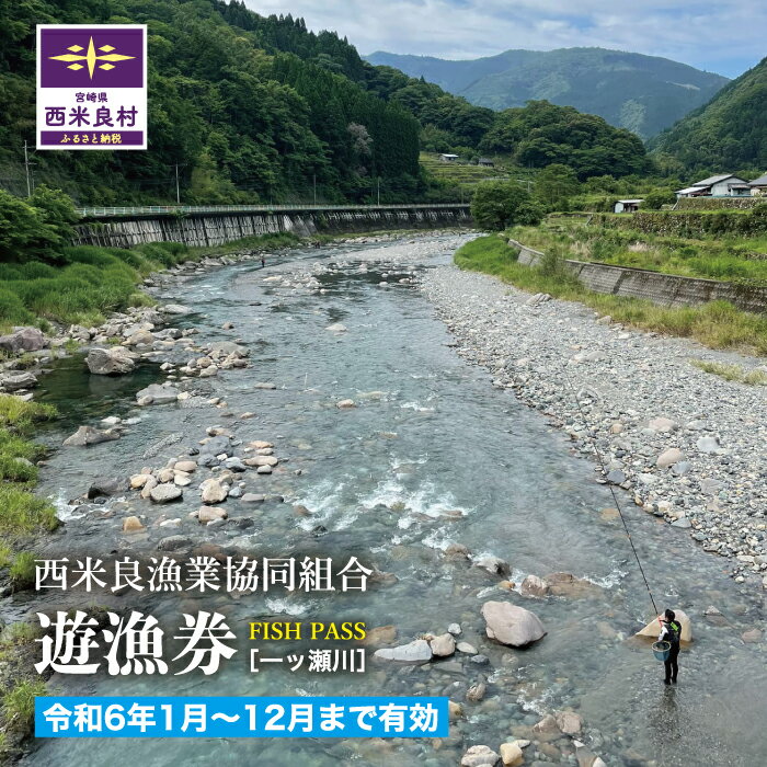 【ふるさと納税】西米良漁業協同組合　年間遊漁券(全魚種)　魚 川魚 遊漁 魚釣り 川釣り 釣り 鮎 アユ ヤマメ ニジマス 全魚種 アウトドア 九州 宮崎県 西米良村