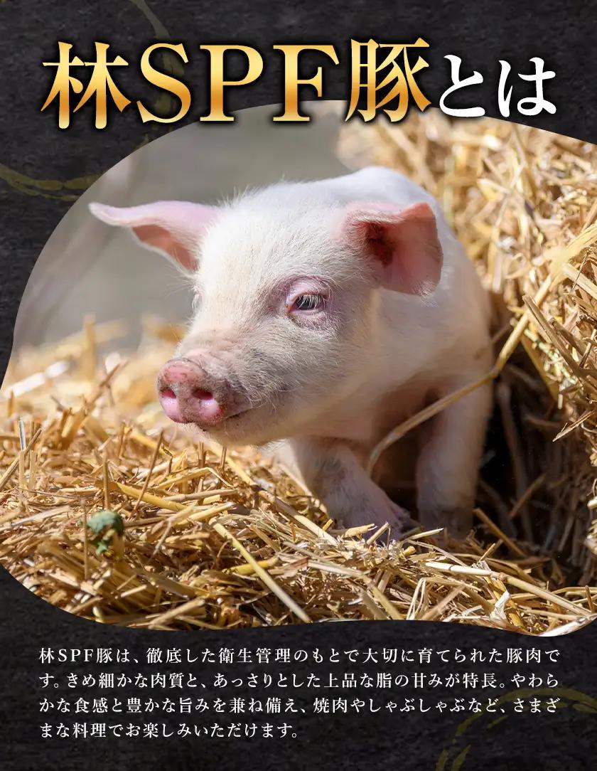 林SPF豚 焼肉 セット シート巻き 計1kg 3ヶ月 定期便 田谷ミートセンター 焼肉