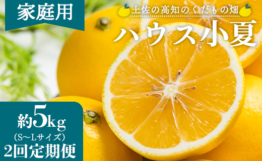 【2026年出荷分】【2回定期便】土佐の高知のくだもの畑 ハウス小夏 5kg(家庭用) 高知 土佐 こなつ 果物 フルーツ 土佐の高知のくだもの畑 【先行予約】 - 家庭用 訳あり 小夏 ハウス ミカン みかん 蜜柑 柑橘 果物 フルーツ こなつ のし対応可 熨斗 国産 Wkd-0034