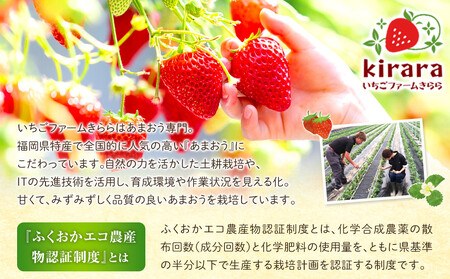 【先行予約 2026年1月以降発送】ふくおかエコ農産物認証!! あまおう 約1140g 約285g×4パック ＜筑前町＞