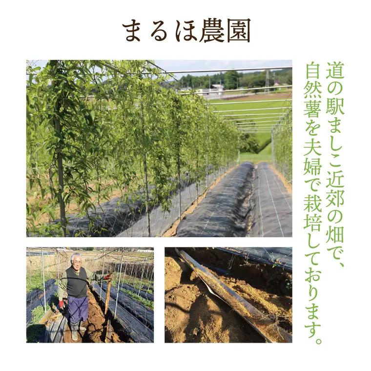 自然薯 そば うどん 5袋 益子町産 AJ001