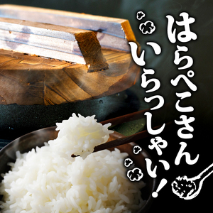 新米コシヒカリ 3kg 令和7年 高知県産