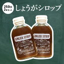 【ふるさと納税】【農家手作り】中土佐町産　しょうがシロップ2本セット（活用レシピ付き） 250ml×2本 生姜シロップ ジンジャーシロップ 国産 高知県産