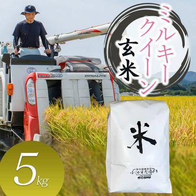 ふるさと納税 鶴岡市 数量限定【令和7年産】山形県庄内産 小池半左衛門のお米 ミルキークイーン【玄米】 5kg