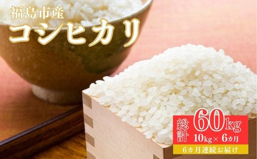 No.1498【令和6年産 新米先行受付】大文字屋米穀店【定期便6回】コシヒカリ 10kg（5kg×2）精米 （6か月連続お届け）