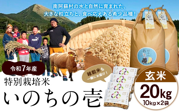 新米 令和7年産 特別栽培米 いのちの壱(玄米)20kg 10kg×2 雑穀米付き《10月中旬-11月下旬頃出荷》 熊本県 南阿蘇村 熊本県産 虹色のかば 雑穀米---sms_inci6_k1011_r7_60000_20kg---
