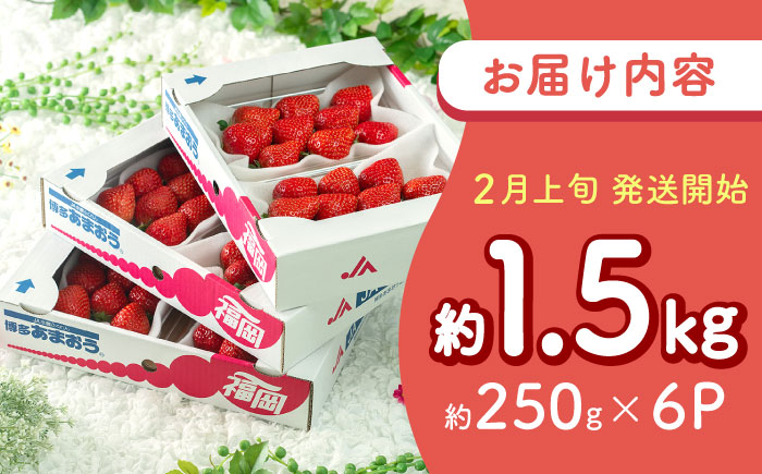【2027年2月上旬より順次発送】福岡産 春あまおう 約250g×6パック 吉富町/南国フルーツ株式会社 [BGAG026] いちご 苺 果物 くだもの フルーツ 甘い 福岡県