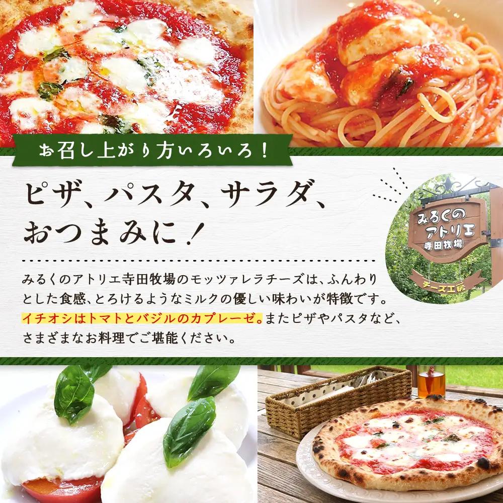 モッツァレラチーズ4個入セット【15000302】