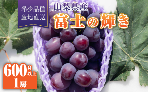 【2026年発送】富士の輝き1房(600g以上)【配送不可地域：離島】