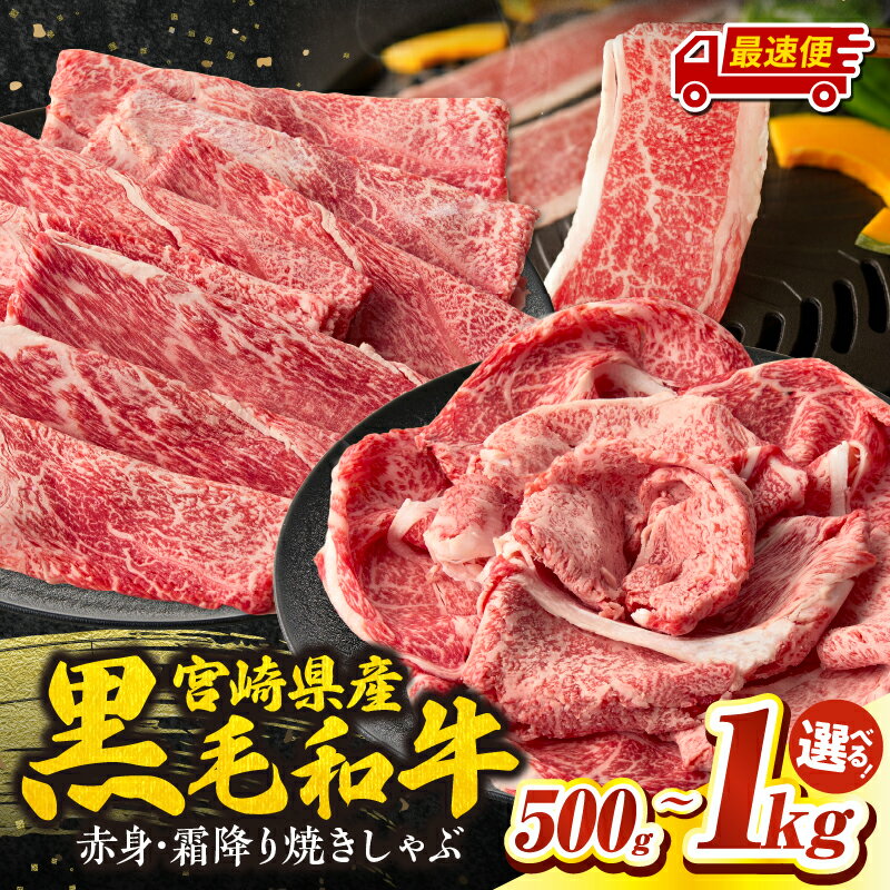 【ふるさと納税】《レビューキャンペーン》【選べる内容量】宮崎県産黒毛和牛赤身（ウデまたはモモ）・霜降り焼きしゃぶ 計500g〜1kg 宮崎牛 国産牛 和牛 すき焼き 焼肉 赤身 霜降り ウデ モモ ロース ギフト ミヤチク 宮崎県 高千穂町 送料無料
