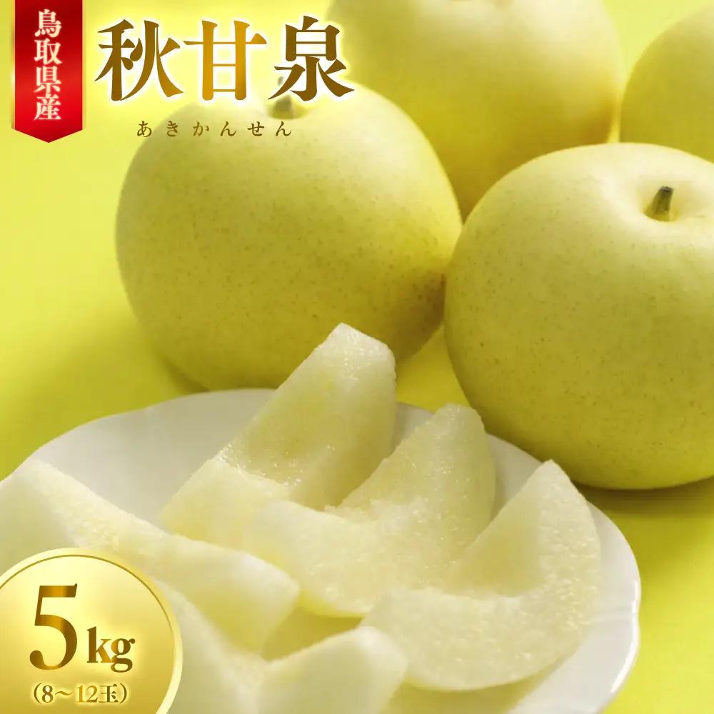 数量限定 鳥取県産梨 秋甘泉（あきかんせん） 5kg（8～12玉）