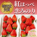 【ふるさと納税】【予約受付】【2025年1月発送】 いちご イチゴ 苺 紅ほっぺ 恋みのり 300g以上2パック 300g以上4パック 静岡 果物 生いちご 紅ほっぺ フルーツ 南伊豆町産 伊豆 甘い 糖度 おすすめ 選べる 特別賞受賞 ご自宅用 いちご BabyBerryFarm