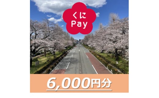 [№5903-0309]国立市デジタル地域通貨『くにPay』6,000ポイント