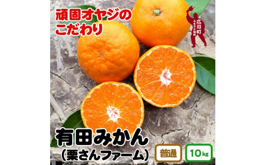 ▼有田みかん 10kg 頑固オヤジのこだわりみかん ※11月中旬～翌年1月上旬頃より順次発送予定 【krf004-r-10】