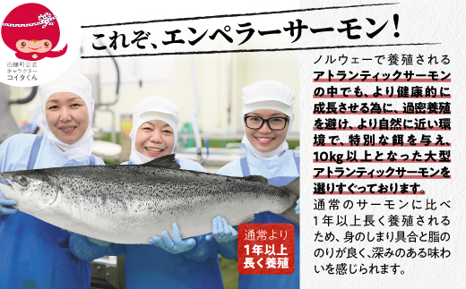 エンペラーサーモン 900g サーモン 鮭 小分け エンペラー を超えた キングサーモン アトランティックサーモン さけ サケ 魚 ふるさと 海鮮 海鮮食品 魚介類 魚介 刺身 カルパッチョ ムニエル