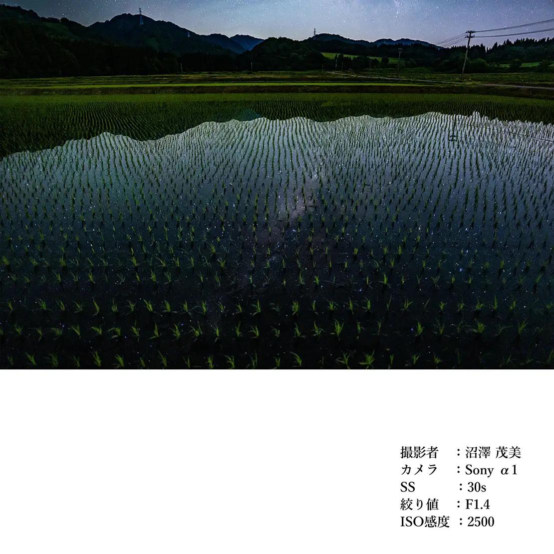 SIGMA 20mm F1.4 DG DN｜Art【ソニーEマウント】カメラ レンズ 家電