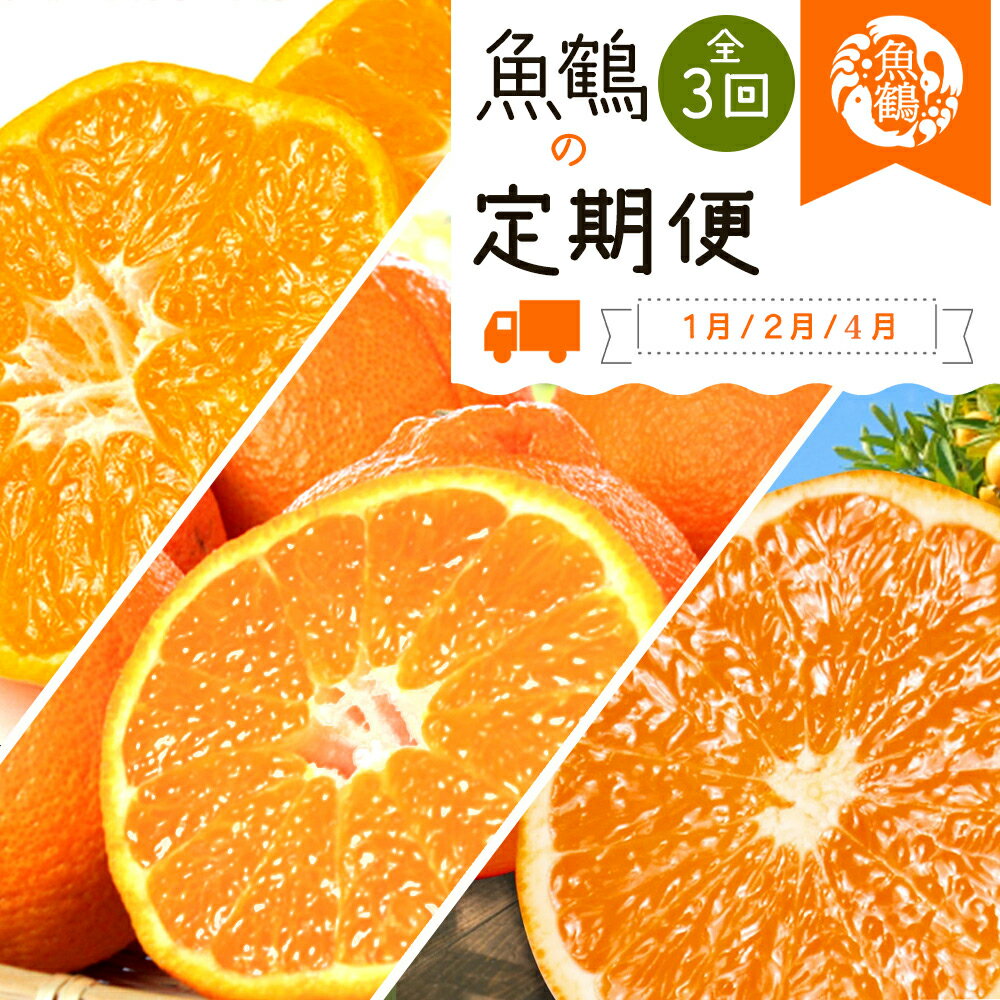 【ふるさと納税】【全3回】紀州和歌山産旬の柑橘定期便(みかん・不知火・清見オレンジ)