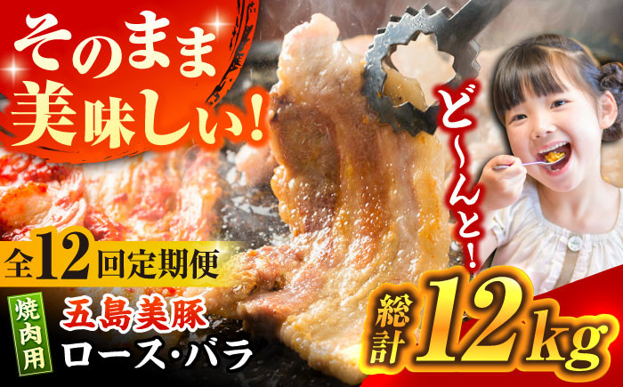 
【全12回定期便】五島美豚 焼肉 セット (ロース・バラ) 12kg (1kg×12回) 五島市/ごとう農業協同組合 [PAF015]
