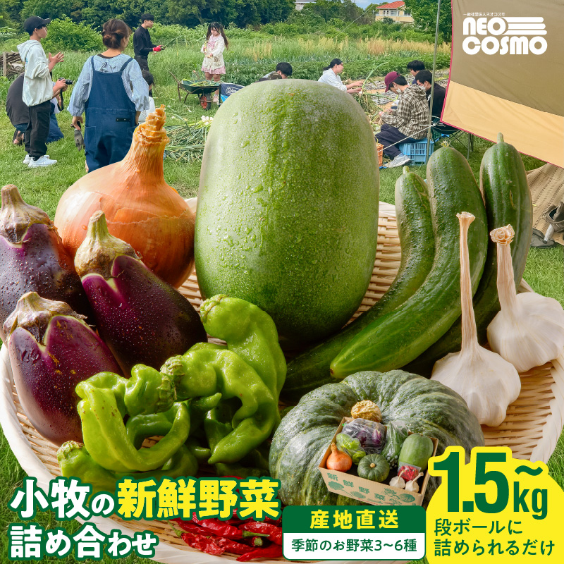 ★障がい者支援施設応援品★ ネオコスモ農園で採れた小牧の野菜詰め合わせ ［124N02］