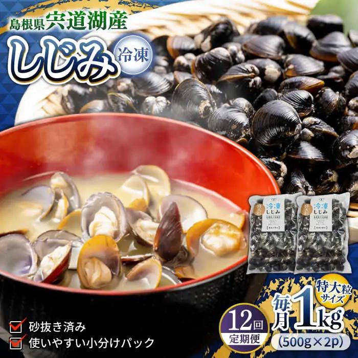 しじみ 【全12回定期便】超希少！特大粒プレミアムサイズ 宍道湖産冷凍大和しじみ 特大粒500g×2袋 島根県松江市/平野缶詰有限会社[ALBZ044] しじみ しじみ