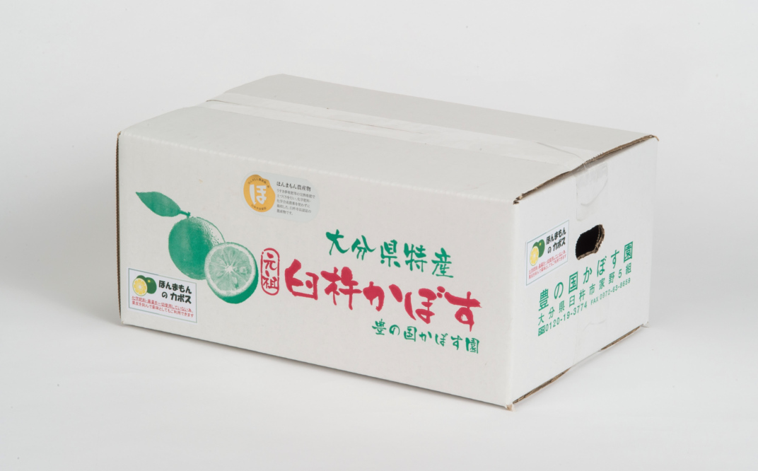 【先行予約】種が少ないから使いやすい！佐々木さんの「種なし（小種）カボス」約2kg